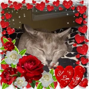 Meet your Posher, Stacy